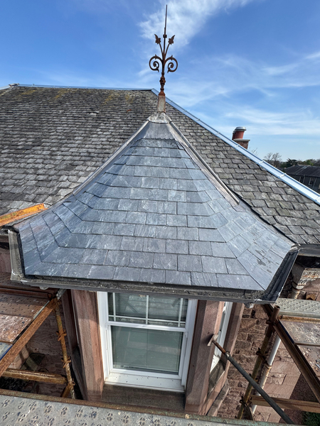 Cover photo of Moy's Roofing Services